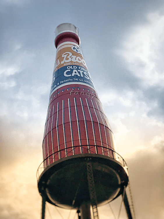 The world's largest ketchup bottle is in Collinsville, Illinois 