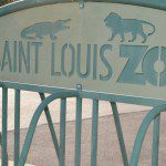 Saint Louis Zoo