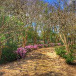 Japanese Gardens Houston
