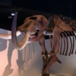 Houston Science Museum