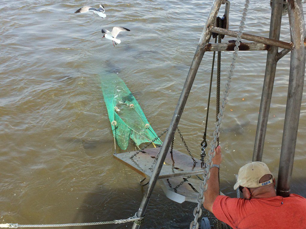 Biloxi Shrimp Tour