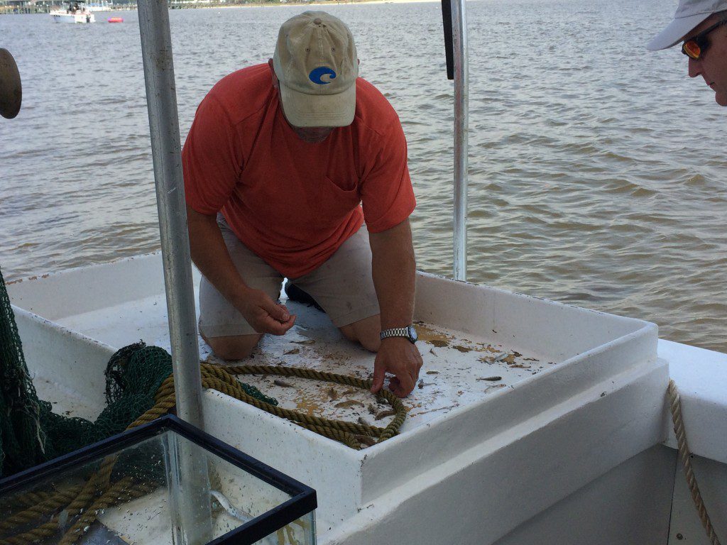 Biloxi Shrimp Tour