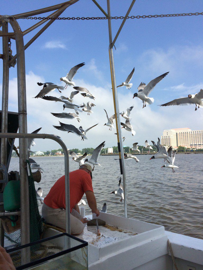 Biloxi Shrimp Tour