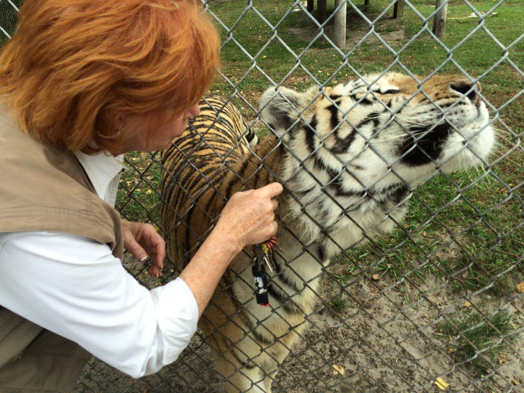 The Best Little Zoo You've Never Heard Of | Bill On The Road