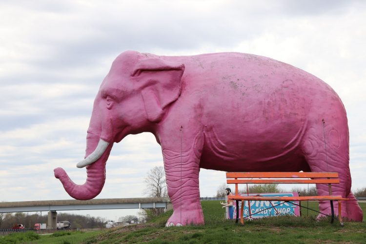 Pink Elephant