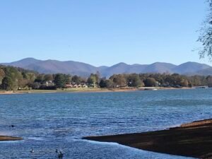 Hiawassee Pickleball View