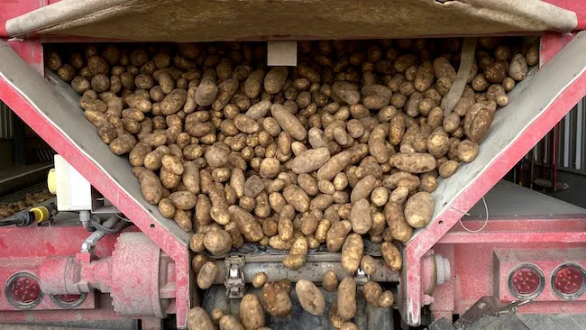 idaho has potatoes