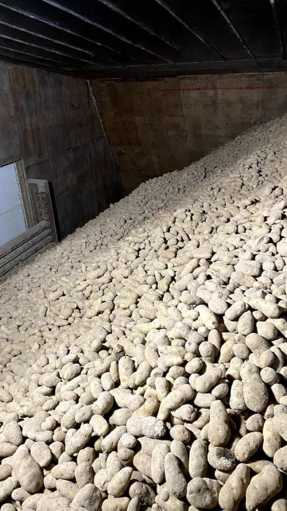 Idaho has potatoes