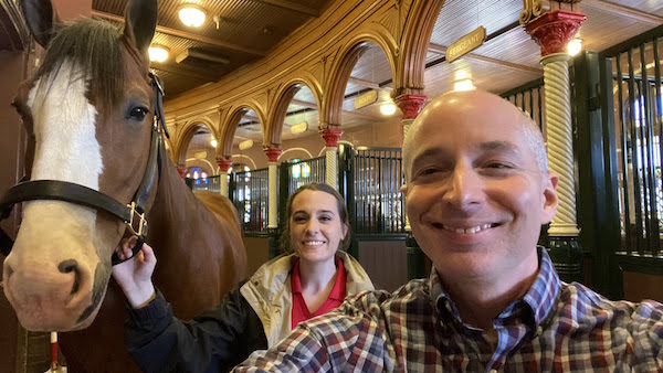 see the Budweiser Clydesdales