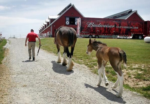 Top 20 Amazing Things To Do In The Midwest | Bill On The Road