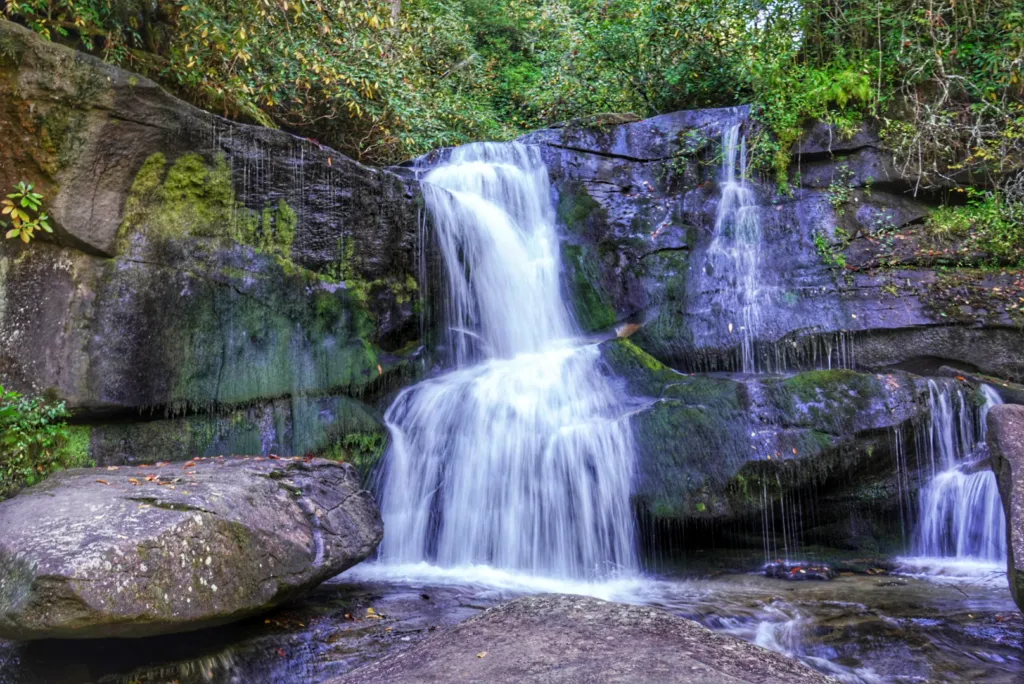 things to do in brevard