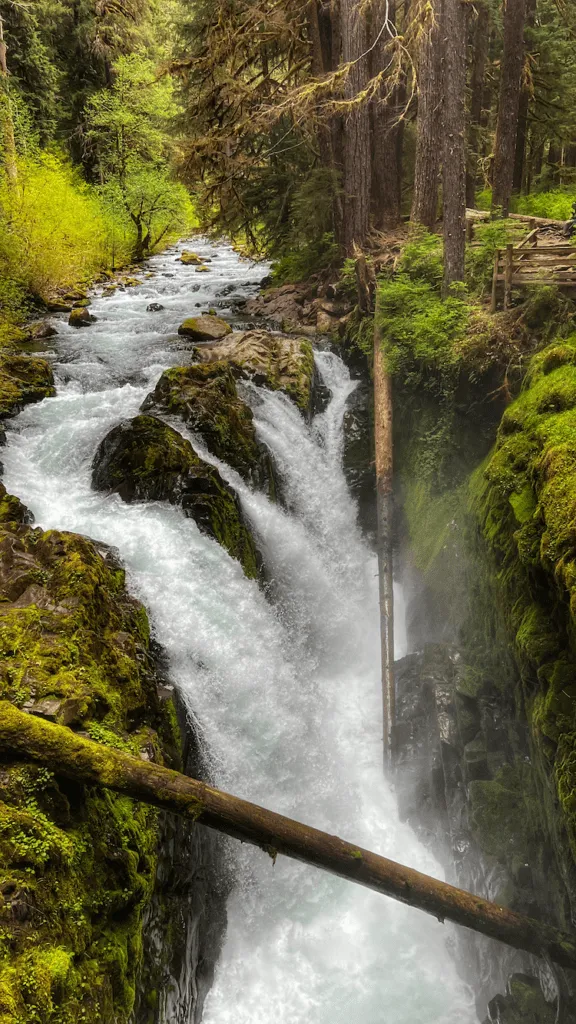 Sol Duc Falls is located in the Olympic National Forest in Washington's Olympic Peninsula
