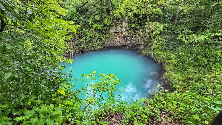 Round Spring
