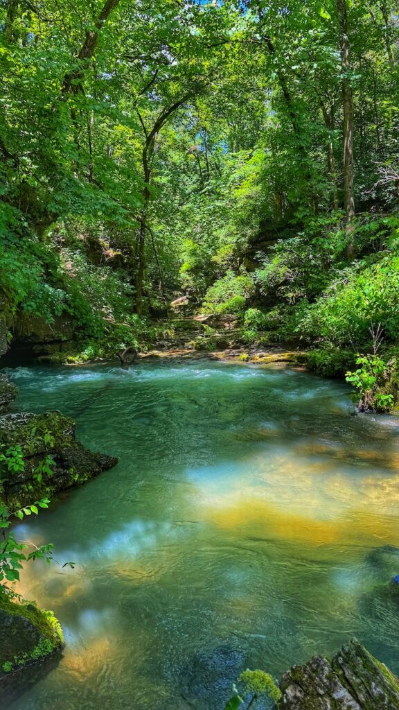Greer Springs in Missouri