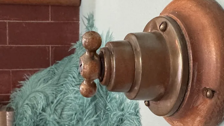 Hearthstone historic house light switch